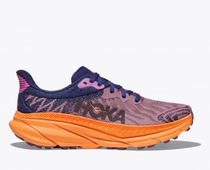 Light Purple / Navy HOKA Challenger 7 Women's Trail Running Shoes | 7582316-SM